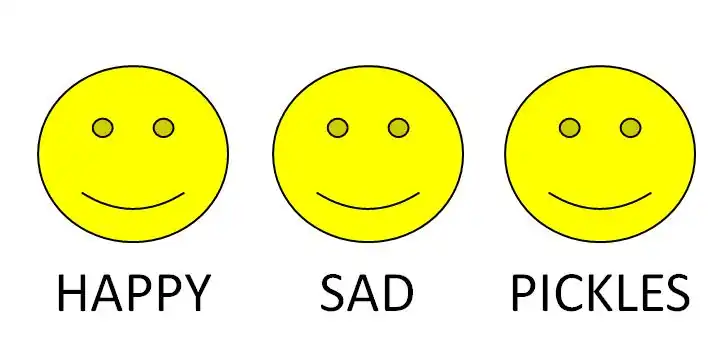 Example PWI task stimuli. L to R: Concept Match Pair, Category Match Pair, Incongruent Pair