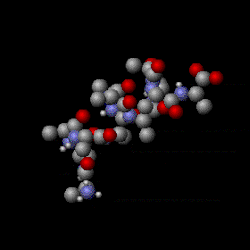 This is what thermal energy "looks" like: Random motion and random compression of atoms behaving almost as springs.