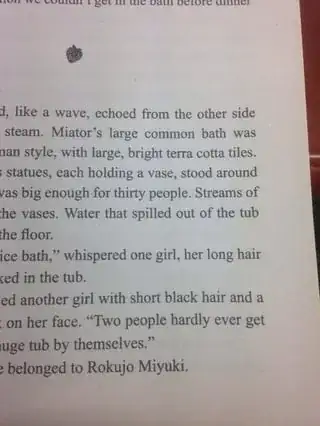 light novel